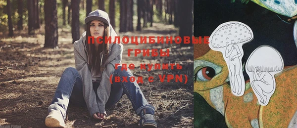 дживик Остров