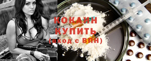 бошки Ельня