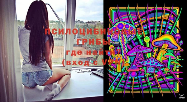 индика Чекалин