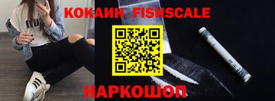 дмт Кингисепп