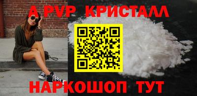дмт Кингисепп