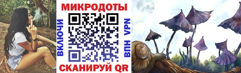 Галлюциногенные грибы Psilocybe  Кыштым 