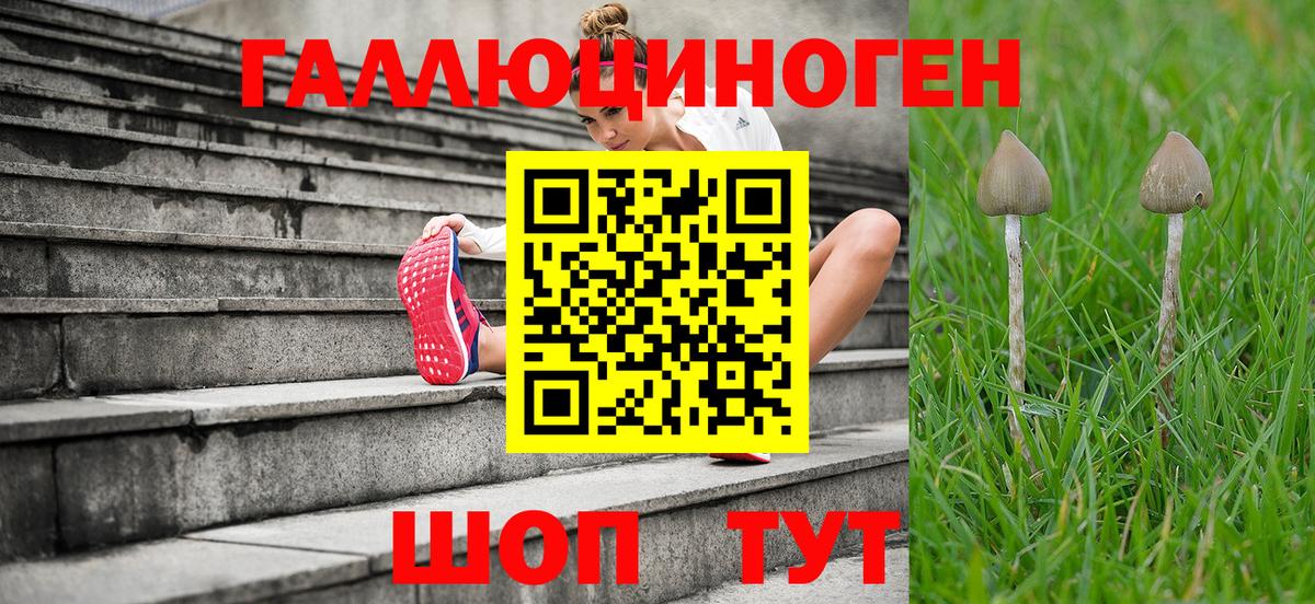 Псилоцибиновые грибы GOLDEN TEACHER  Кыштым 