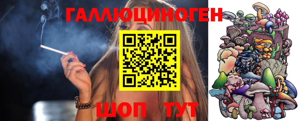 Псилоцибиновые грибы Cubensis Кыштым