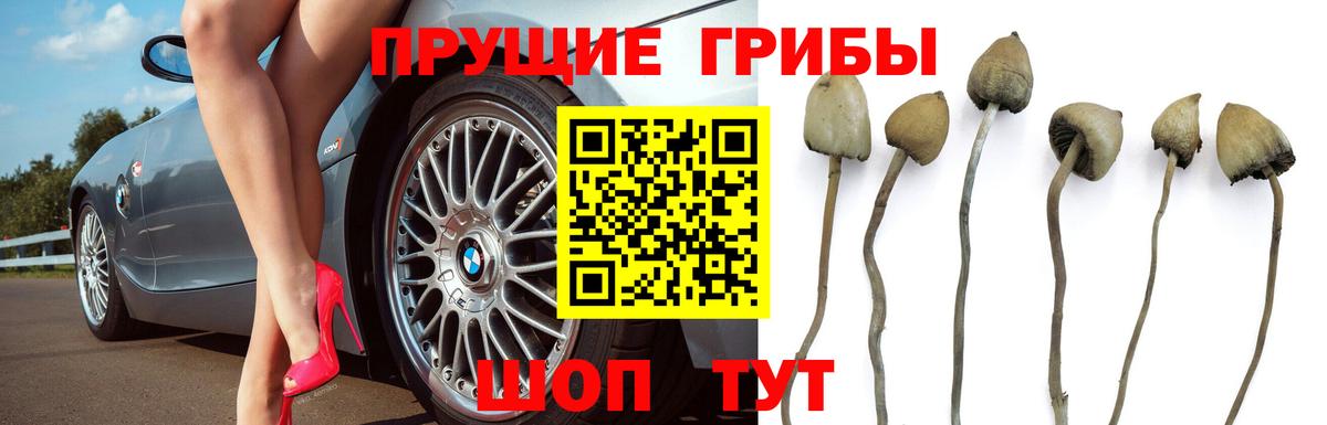 Кыштым  Псилоцибиновые грибы Psilocybe  Псилоцибиновые грибы Cubensis  Вход с VPN 
